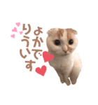 Lunalovegood（個別スタンプ：8）