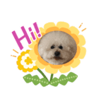 ガウガウ犬のレオン君②（個別スタンプ：2）