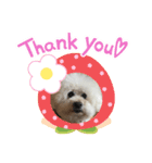 ガウガウ犬のレオン君②（個別スタンプ：3）