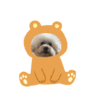 ガウガウ犬のレオン君②（個別スタンプ：4）