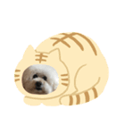 ガウガウ犬のレオン君②（個別スタンプ：5）