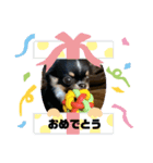 まろ氏（個別スタンプ：6）