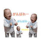 つばきん3（個別スタンプ：19）