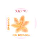 6月、誕生日の花 花言葉つき（個別スタンプ：5）