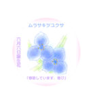 6月、誕生日の花 花言葉つき（個別スタンプ：6）