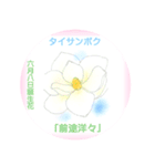 6月、誕生日の花 花言葉つき（個別スタンプ：8）