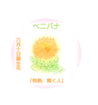 6月、誕生日の花 花言葉つき（個別スタンプ：10）