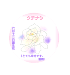 6月、誕生日の花 花言葉つき（個別スタンプ：13）