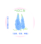 6月、誕生日の花 花言葉つき（個別スタンプ：16）