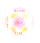6月、誕生日の花 花言葉つき（個別スタンプ：17）