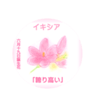 6月、誕生日の花 花言葉つき（個別スタンプ：19）