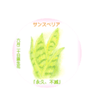 6月、誕生日の花 花言葉つき（個別スタンプ：20）