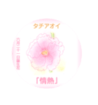 6月、誕生日の花 花言葉つき（個別スタンプ：21）