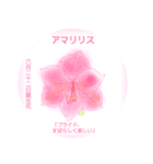 6月、誕生日の花 花言葉つき（個別スタンプ：22）