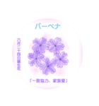 6月、誕生日の花 花言葉つき（個別スタンプ：24）