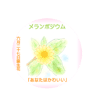 6月、誕生日の花 花言葉つき（個別スタンプ：27）