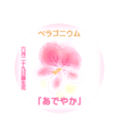 6月、誕生日の花 花言葉つき（個別スタンプ：29）