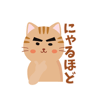 オラ猫ガッツで頑張ろう！（個別スタンプ：5）