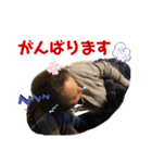 しんごスタンプ3（個別スタンプ：12）