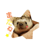 ハリネズミのたろ（個別スタンプ：16）