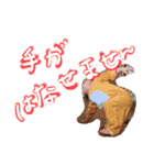 ぼくゆーゆ！！！（個別スタンプ：14）