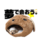 ナルトとメンマとワカメ。（個別スタンプ：5）