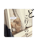 ナルトとメンマとワカメ。（個別スタンプ：15）