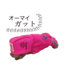 ナルトとメンマとワカメ。（個別スタンプ：16）