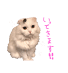 悠珠ちゃんスタンプ（個別スタンプ：3）