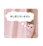 悠珠ちゃんスタンプ（個別スタンプ：5）