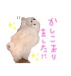 悠珠ちゃんスタンプ（個別スタンプ：6）