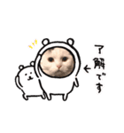 悠珠ちゃんスタンプ（個別スタンプ：11）