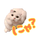 悠珠ちゃんスタンプ（個別スタンプ：16）