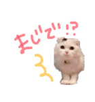 悠珠ちゃんスタンプ（個別スタンプ：18）