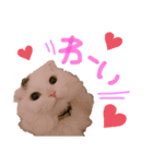 悠珠ちゃんスタンプ（個別スタンプ：19）
