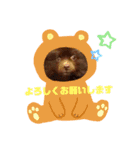 Kuma20200610（個別スタンプ：9）