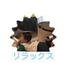 昂さまスタンプ（個別スタンプ：24）