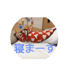 昂さまスタンプ（個別スタンプ：26）