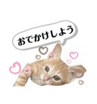 ちくわとトトロ（個別スタンプ：27）