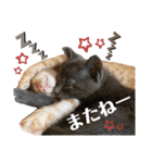 ちくわとトトロ（個別スタンプ：31）