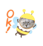 孝太郎＆グレちゃん（個別スタンプ：10）
