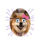 柴犬マリンお嬢様 よく使う言葉編（個別スタンプ：9）