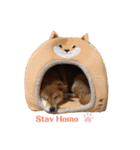 柴犬マリンお嬢様 よく使う言葉編（個別スタンプ：14）