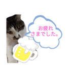 withねこ＆いぬ（2）（個別スタンプ：2）