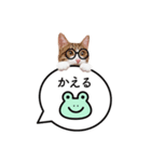 猫のほのさんです。（個別スタンプ：7）