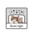 猫のほのさんです。（個別スタンプ：14）