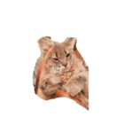 猫ノア（個別スタンプ：4）