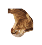 猫ノア（個別スタンプ：7）