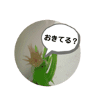 うちのウーパールーパー（個別スタンプ：2）