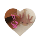 うちのウーパールーパー（個別スタンプ：3）
